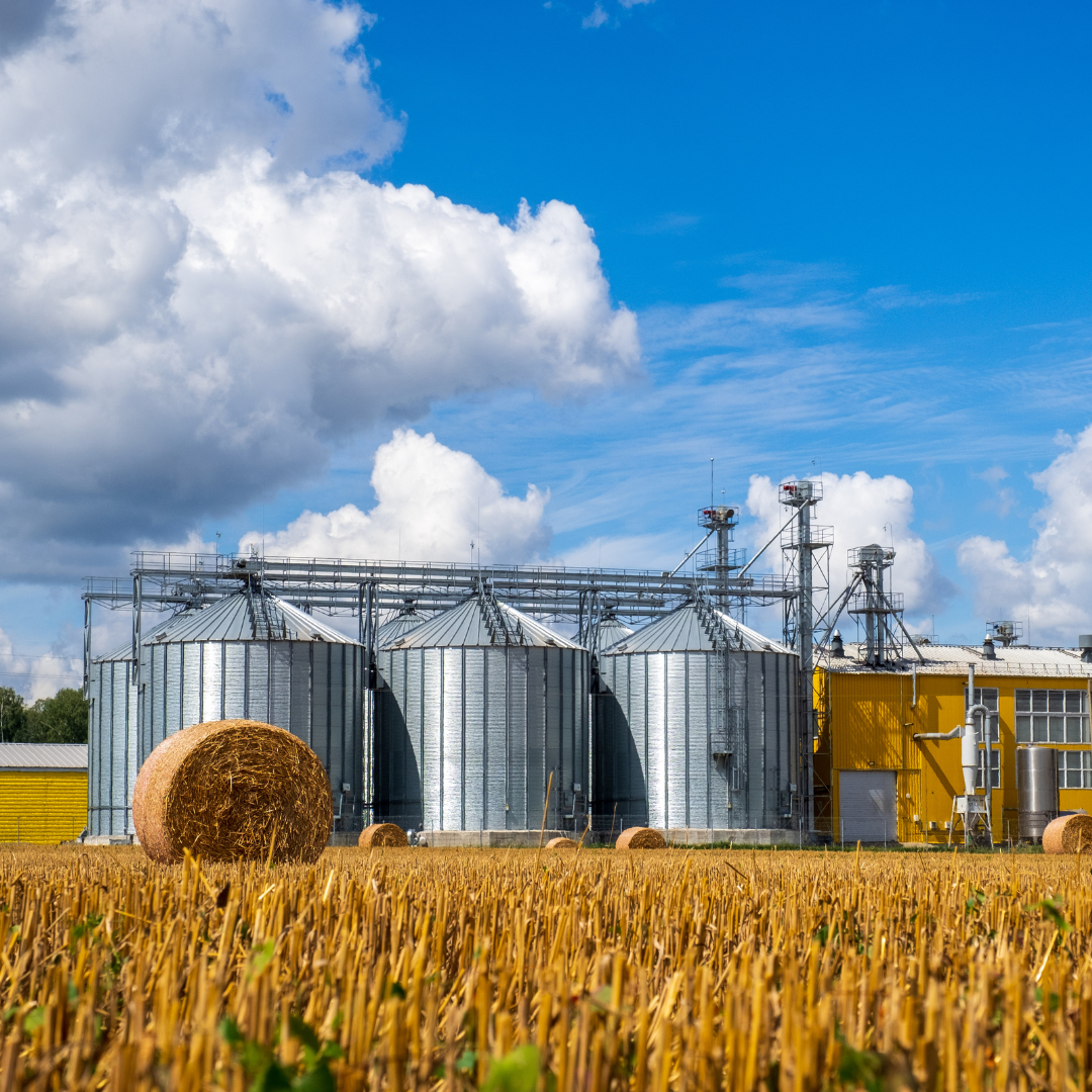 Nuovo Bando Regionale per Imprese Agroalimentari nel Veneto