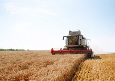 Finanziamenti agevolati alle PMI agricole del Veneto
