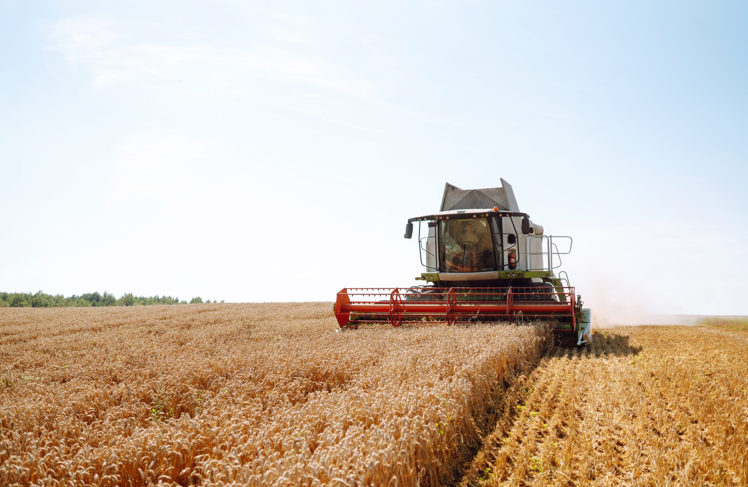 Finanziamenti agevolati alle PMI agricole del Veneto
